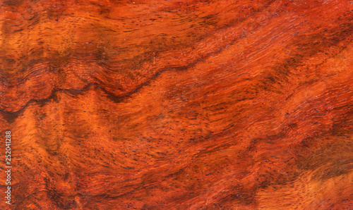 Dalbergia Sisso wood texture photo