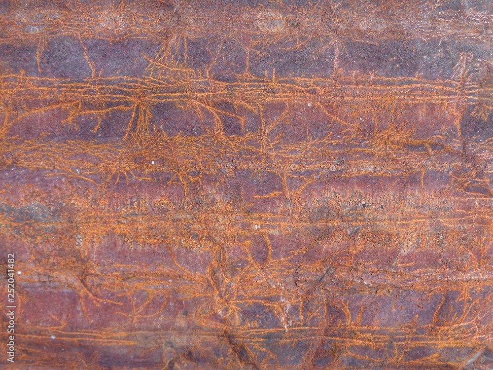 Rusty metal texture and background