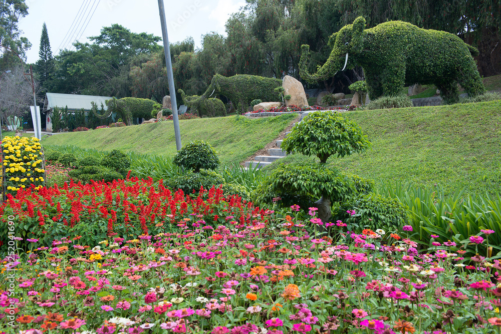 Obraz premium Dalat Flower Garden Park, Vietnam