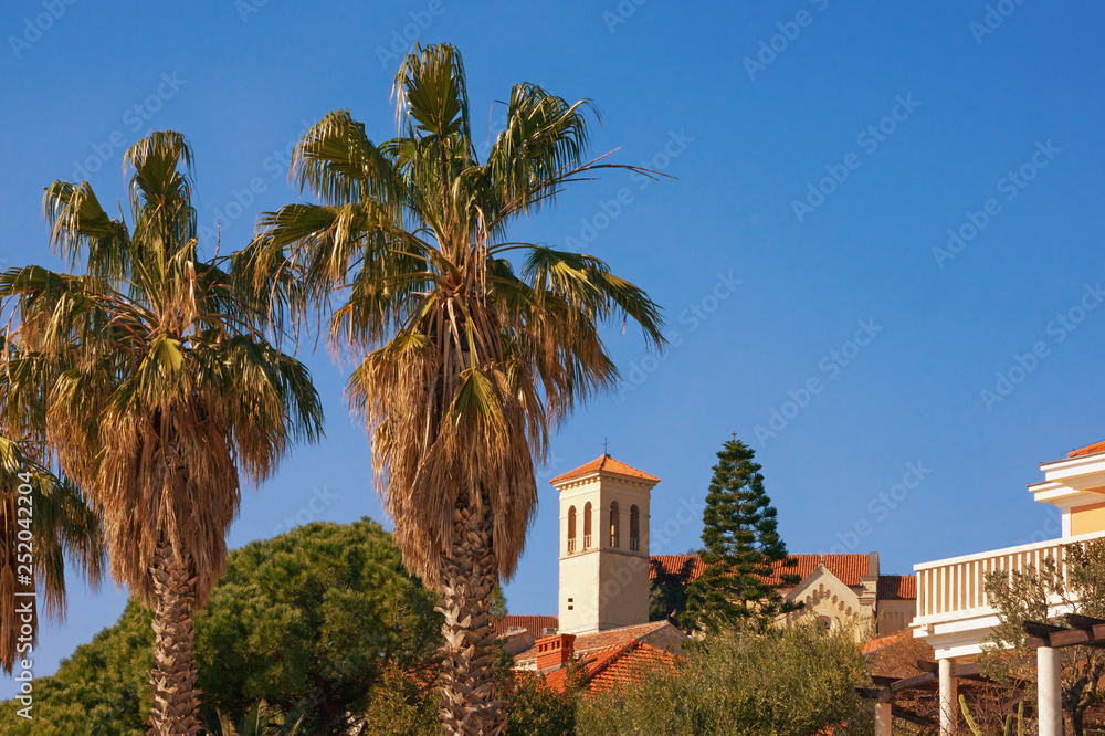 Fototapeta premium View of Old Town of Herceg Novi with Bell tower of Saint Jerome Church on sunny winter day. Montenegro