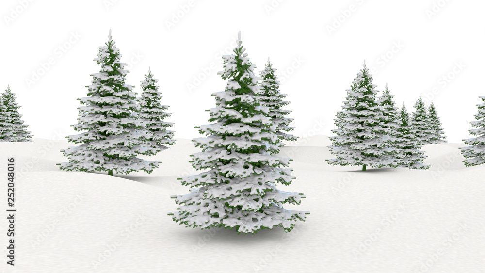 Obraz premium Winter landscape snowy landscape and fir Christmas trees isolated on white background