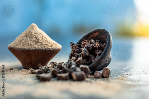Popular Indian & Asian ayurvedic organic herb musli or Chlorophytum borivilianum or Curculigo orchioides or kali moosli in a clay with its powder in another bowl on wooden surface. photo