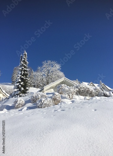 Winter im Appenzellerland