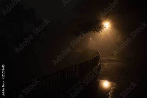 Misty Urban Park by Night