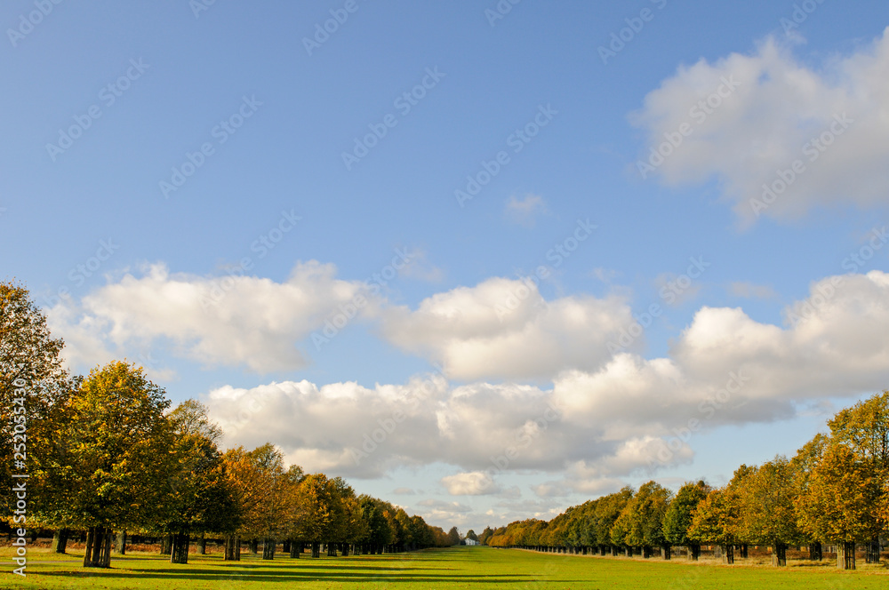 Lime Avenue and White Lodge, Bushy Park, Middlesex, UK