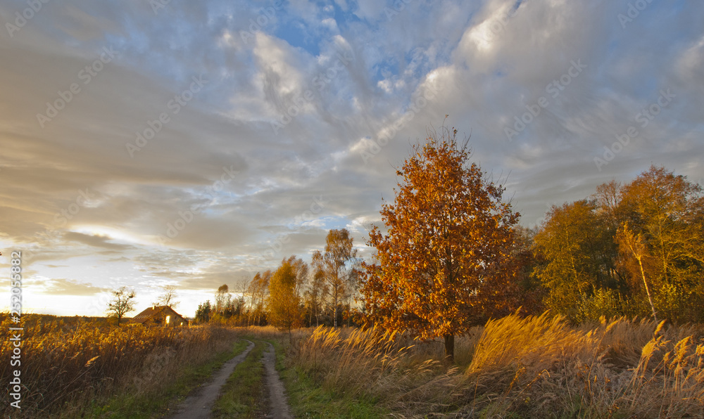 Fototapeta premium Autumn landscape