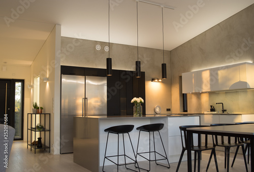 Modern Kitchen Interior