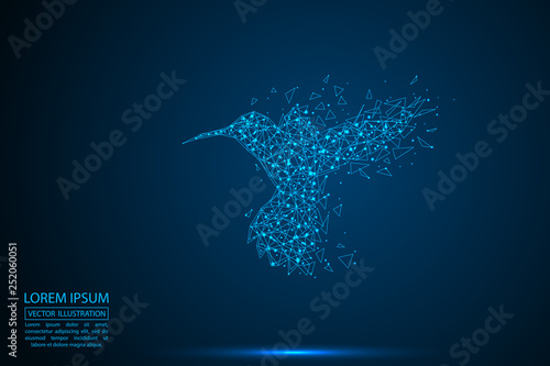 Abstract bird Hummingbird consisting of 3D triangles, lines, points and links. Vector illustration of EPS 10.