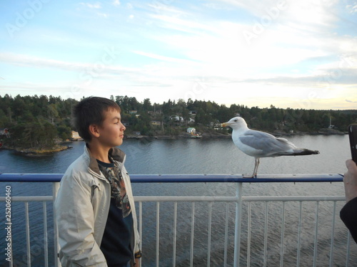 boy met with a sea gull. look at each other.