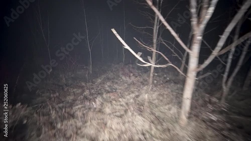 Walking through dark spooky forest at night. Running thorough misty deep forest at night. Scared running away from monsters and death, lost and alone in the dark. Spooky trees and fog in darkness.