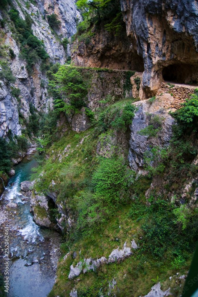 Cares Canyon. Picos de Europa National Park, Le—n province, Castilla-Le—n, Spain