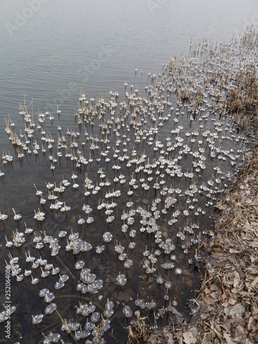 lake ausee near asten, upper austria photo