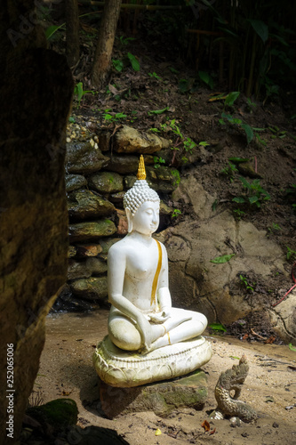 Buddha statue in jungle, Wat Palad, Chiang Mai, Thailand photo