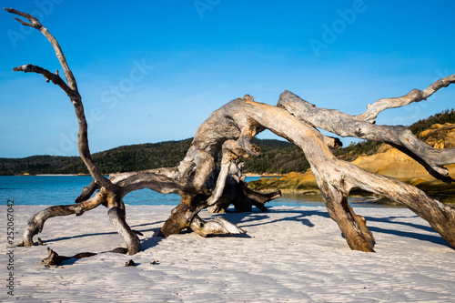 Whitsunday Islands  Australia