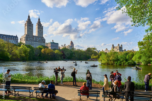 Fotografie, Obraz New York Central Park 1