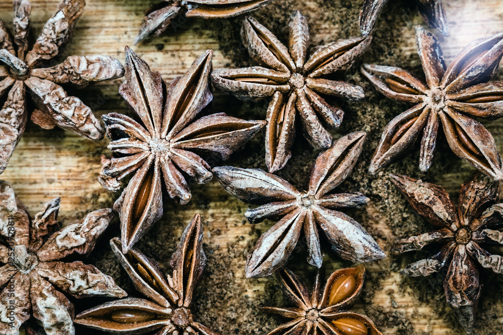anise spice star anise background anise spice star anise background