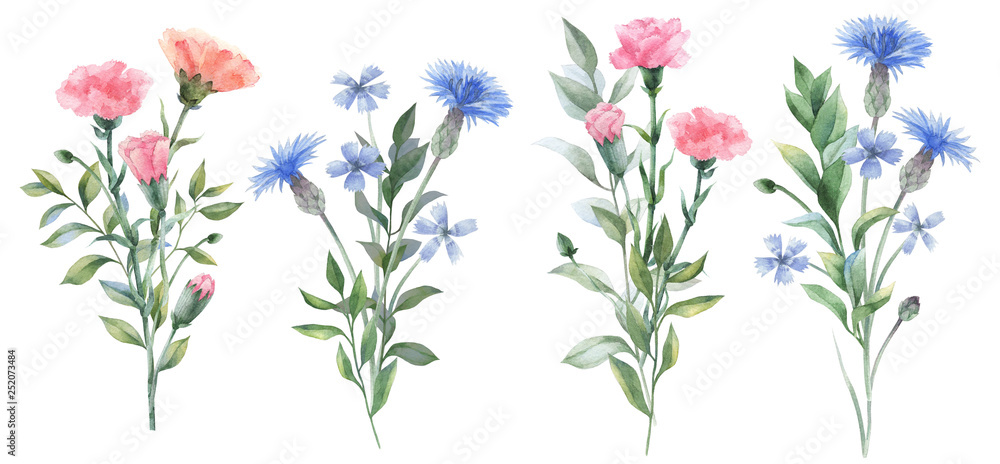 Watercolor flowers. Botanical illustrations. Floral set.