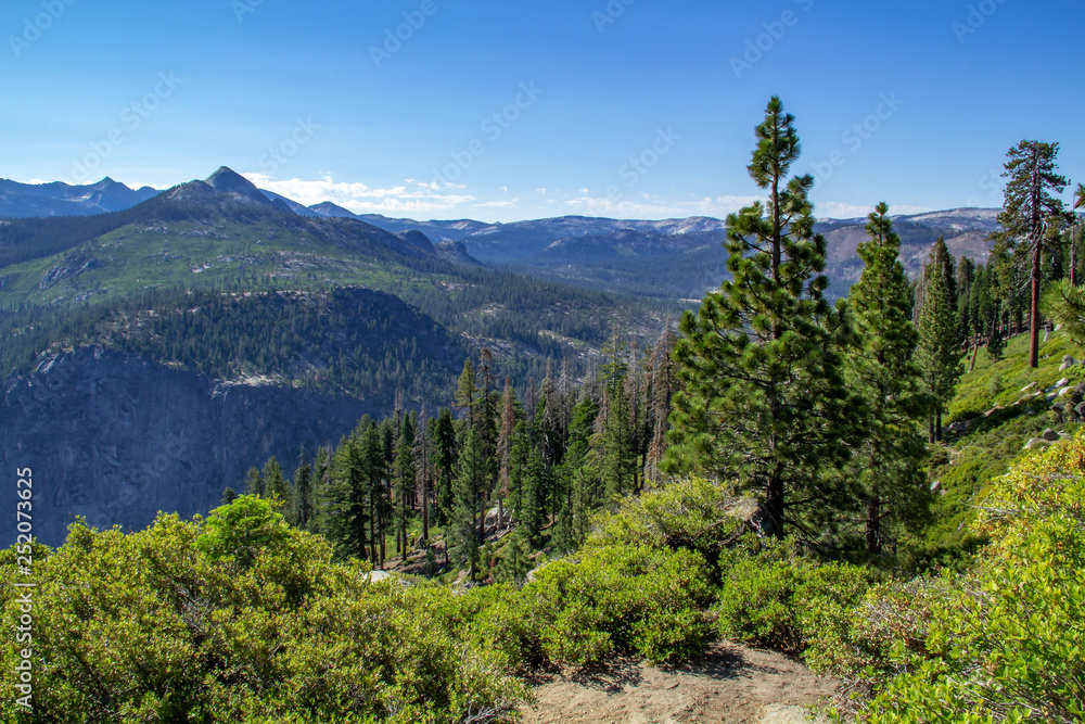 Sequoia tree framed by greenery, mountain and clear blue sky in Sequoia National Park Sequoia tree framed by greenery, mountain and clear blue sky in Sequoia National Park