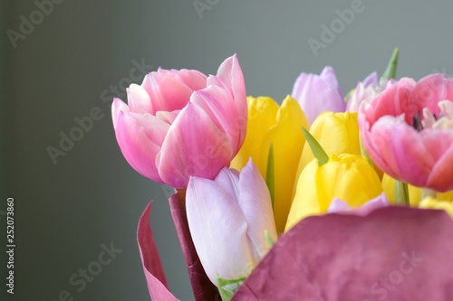 Beautiful pink tulip flower with selective focus in bouquet of spring colorful tulips. Seasonal spring flowers for Mother   s Day holiday. Romantic flowers gift on blurred background.