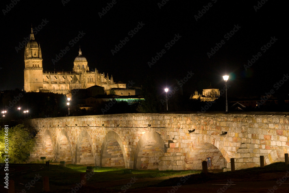 Puente Romano,Catedral,Salamanca,Castilla-Leon,Spain
