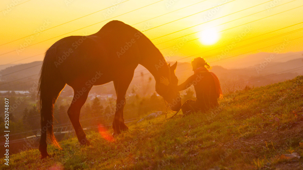 LENS FLARE: Loving girl petting her horse while it grazes in the sunny pasture. LENS FLARE: Loving girl petting her horse while it grazes in the sunny pasture.