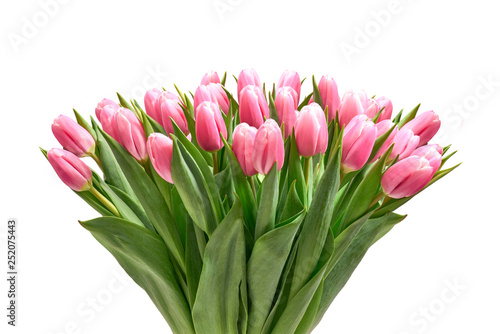 Bukiet tulipanów na białym tle photo