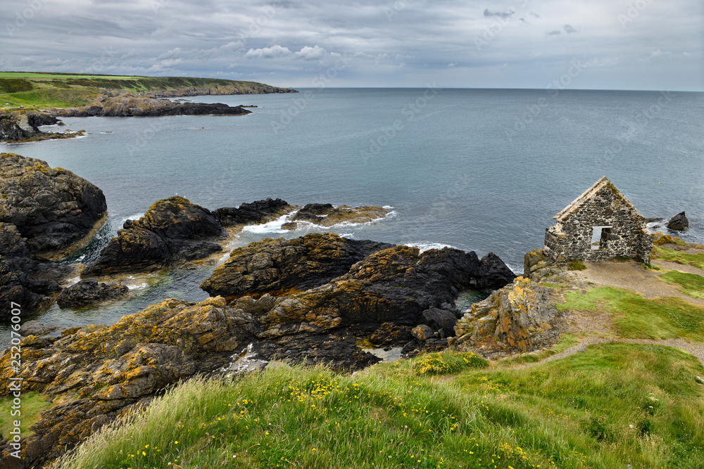 Lichen on weathered quartzite with Clifftop Ruin wall on coast of North Sea Moray Firth at Portsoy Scotland UK Lichen on weathered quartzite with Clifftop Ruin wall on coast of North Sea Moray Firth at Portsoy Scotland UK