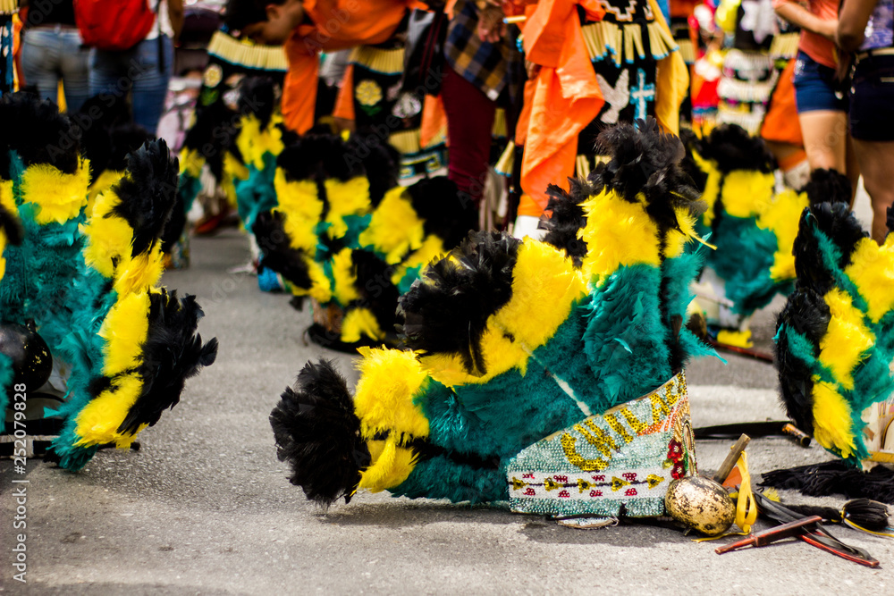 Fototapeta premium Penacho en el piso