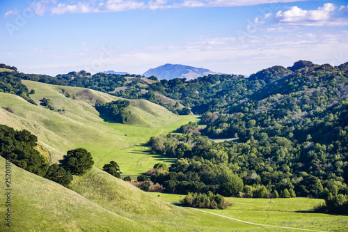 Valley in Briones Regional Park  Mount Diablo in the background, Contra Costa county, east San Francisco bay area, California © Sundry Photography