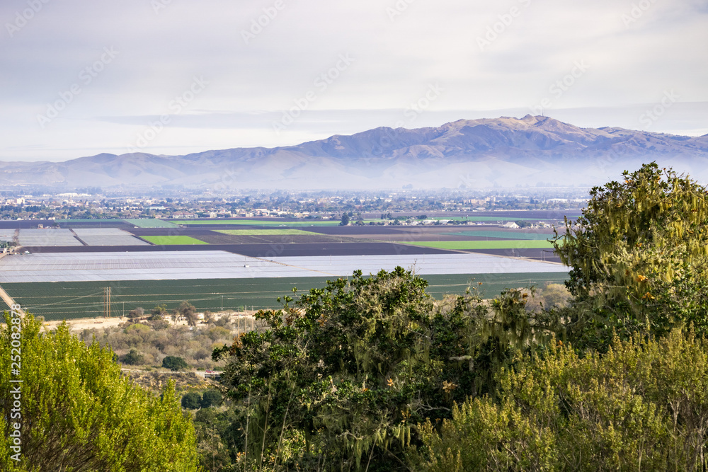 Agricultural fields, Salinas, California