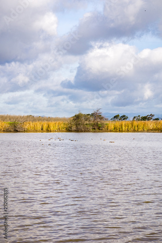 Marsh views, Coyote Hills Regional Park, east San Francisco bay, California photo