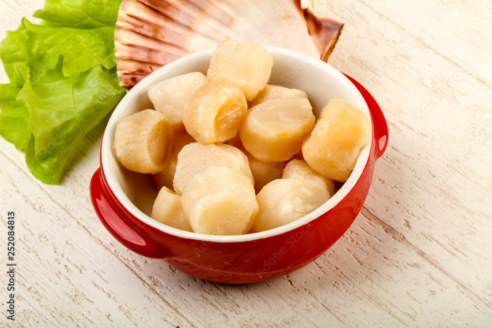Raw scallops heap