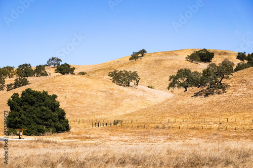 Dry grass covering rolling hills, Coyote Lake - Harvey Bear Park, south San Francisco bay area, Gilroy, California