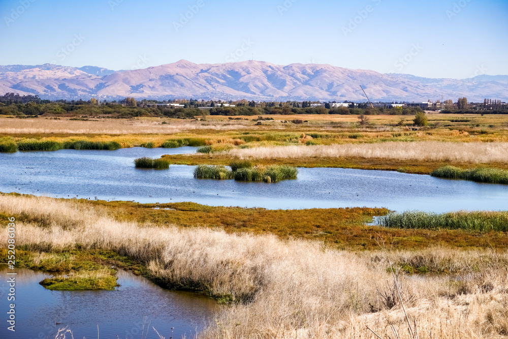 Marsh Landscape, Coyote Hills Regional Park, East San Francisco Bay Area, Fremont, California Marsh Landscape, Coyote Hills Regional Park, East San Francisco Bay Area, Fremont, California