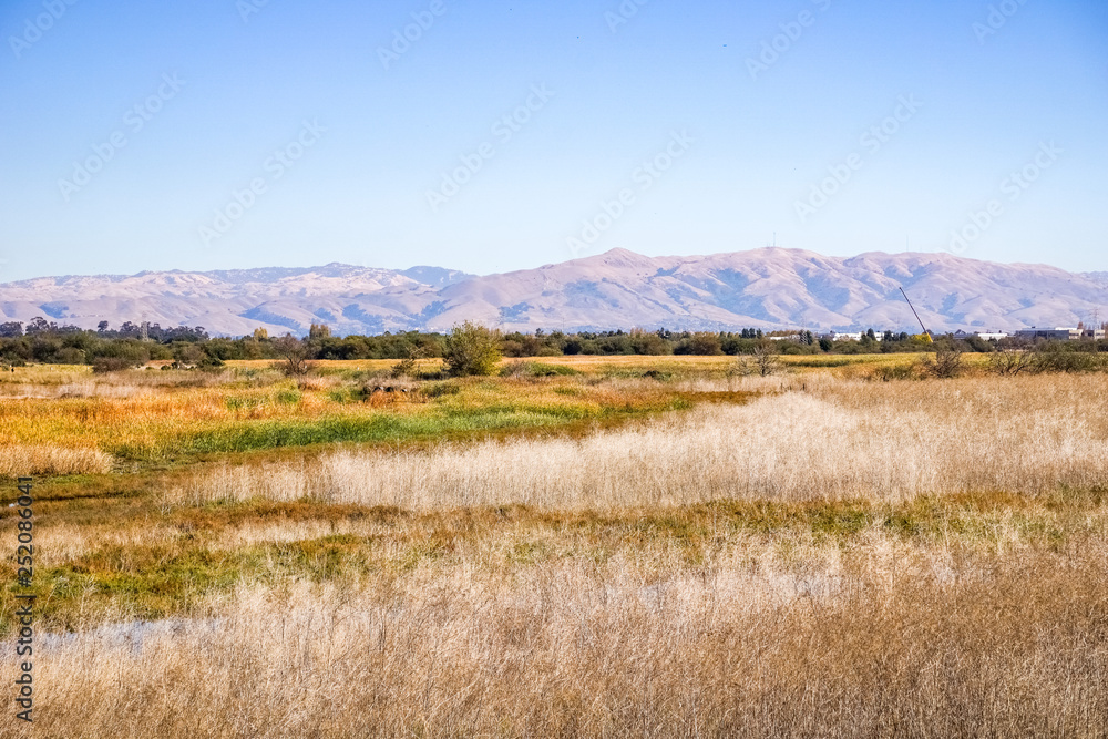 Marsh Landscape, Coyote Hills Regional Park, East San Francisco Bay Area, Fremont, California Marsh Landscape, Coyote Hills Regional Park, East San Francisco Bay Area, Fremont, California