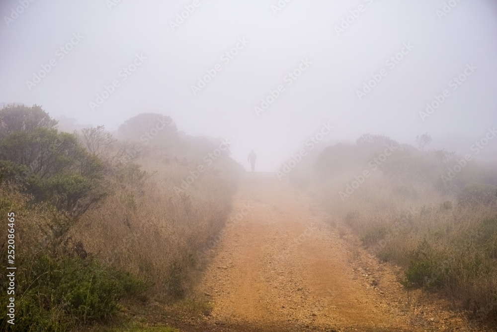 Silhouette of a runner in the Headlands area of Golden Gate National Recreation Area on a foggy summer day, Marin County, California Silhouette of a runner in the Headlands area of Golden Gate National Recreation Area on a foggy summer day, Marin County, California