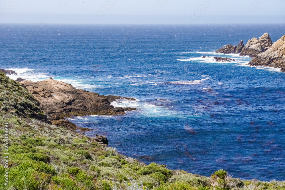 Fototapeta premium Rocky shoreline, Pacific Ocean coastline, Big Sur, California