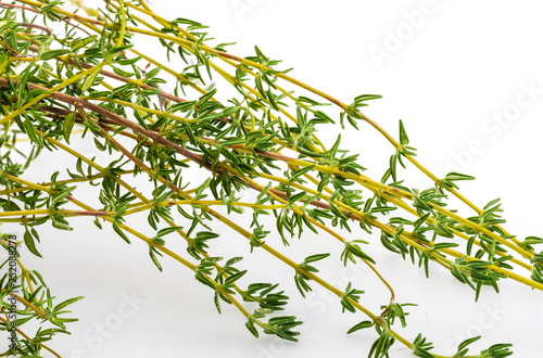 Bouquet of fresh and raw thyme. Isolated on white background. Ingredient of Mediterranean cuisine and healing home remedy. 