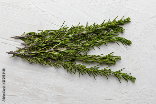 Branches of fresh rosemary and green. On white textured background.