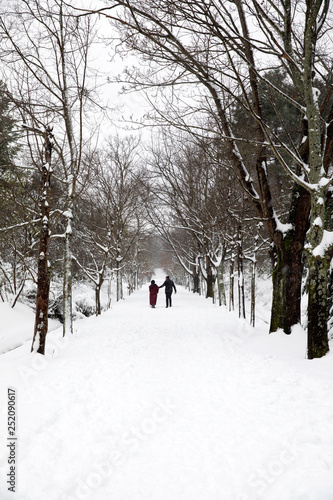 Atatürk Arboretumu Bahcekoy snowy photos Sariyer istanbul