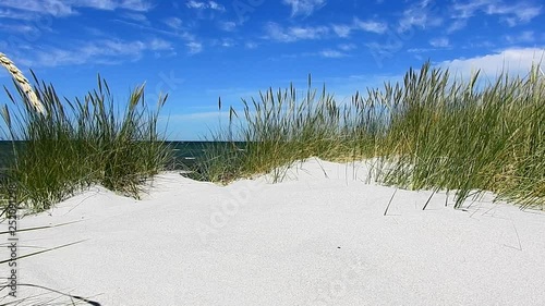 Baltic Sea Beach with Seagrass and Dunes - Ocean View photo