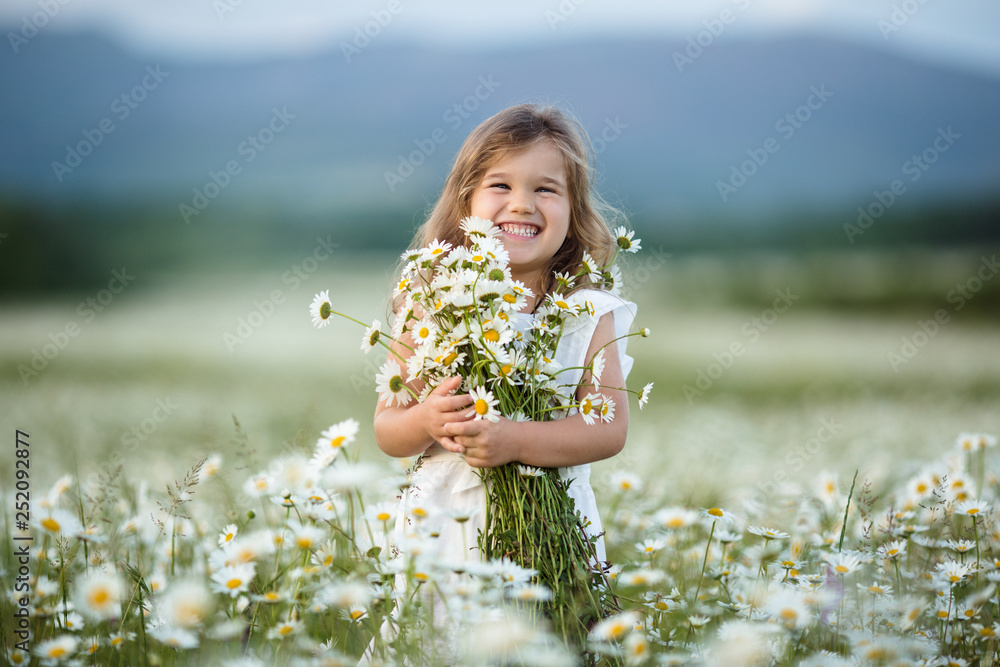 Little cute girl in a field of camomile flowers Little cute girl in a field of camomile flowers