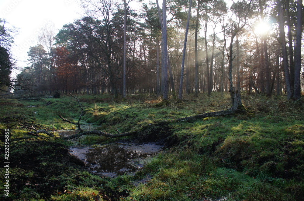 Fototapeta premium krajobraz