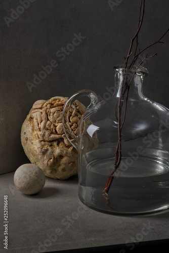 Celery root with stone and twigs in jug of water photo