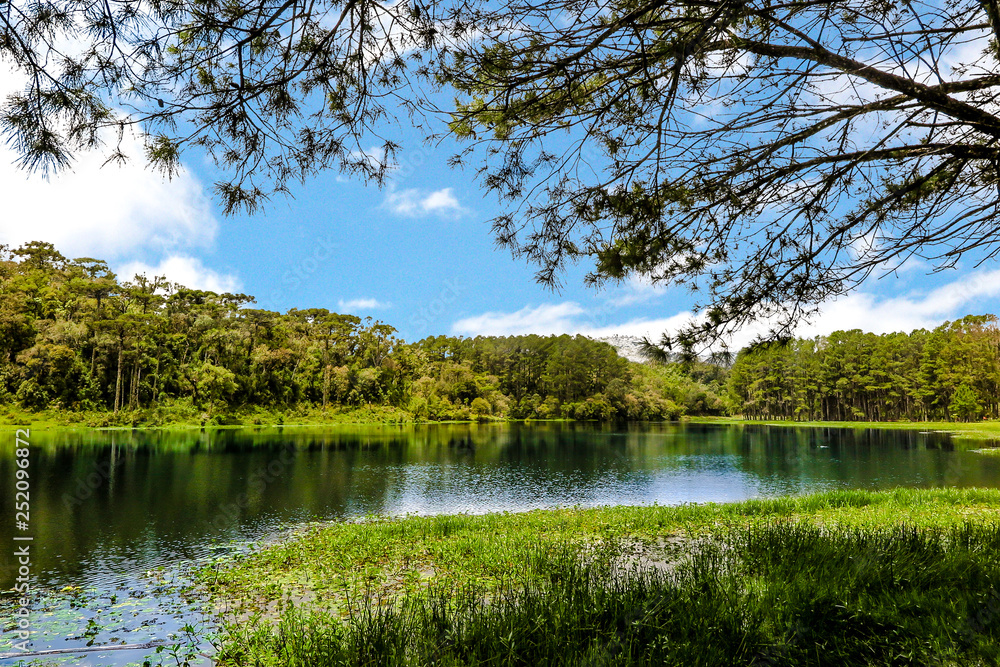 Perimbo dam lake, with many trees and lawn in the surroundings, Petrolandia, Santa Catarina, Brazil Perimbo dam lake, with many trees and lawn in the surroundings, Petrolandia, Santa Catarina, Brazil