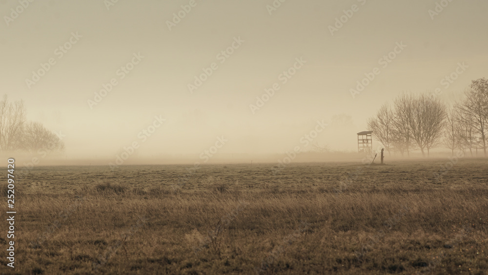 Hochsitz im Nebel