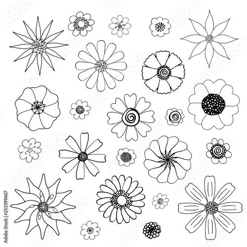 Isolated black and white floral vector doodles set