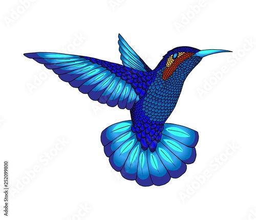 Small hummingbird. Exotic tropical colibri animal icon. Sapphire blue feathers