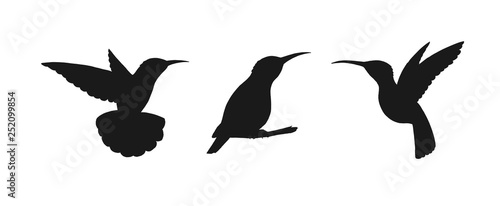 Set of three detailed black hummingbird silhouettes isolated on white