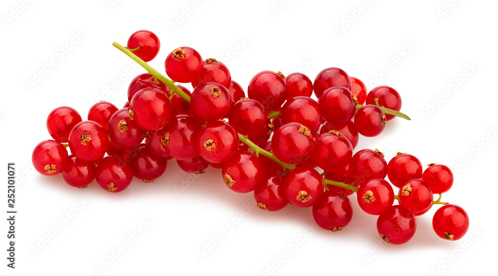 red current red current